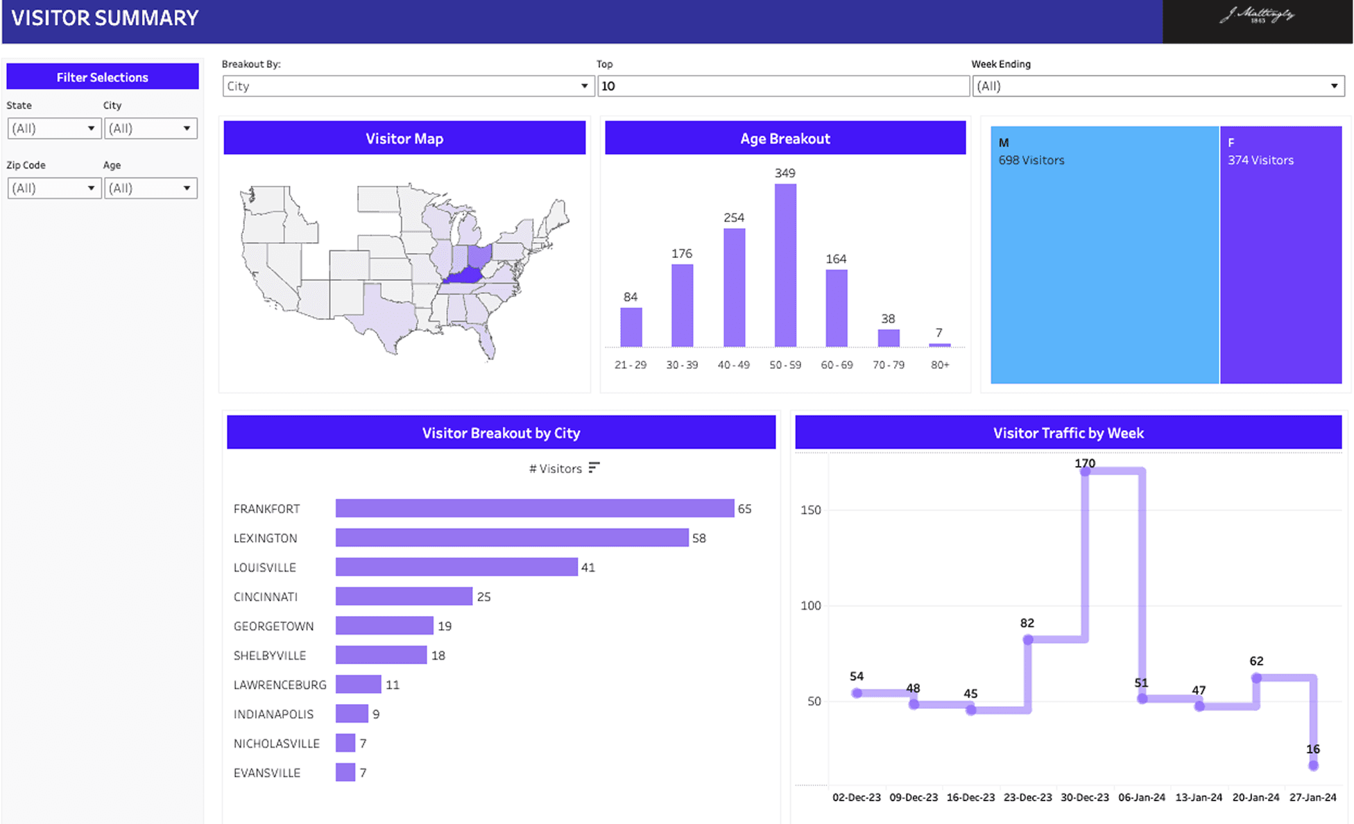 Visitor summary analytics dashboard with maps, age, and traffic charts