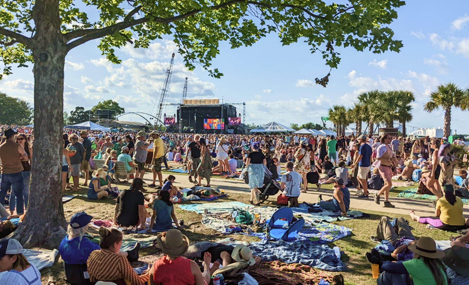 Festival-goers relaxing on blankets under a large shade tree with the main stage in the distance