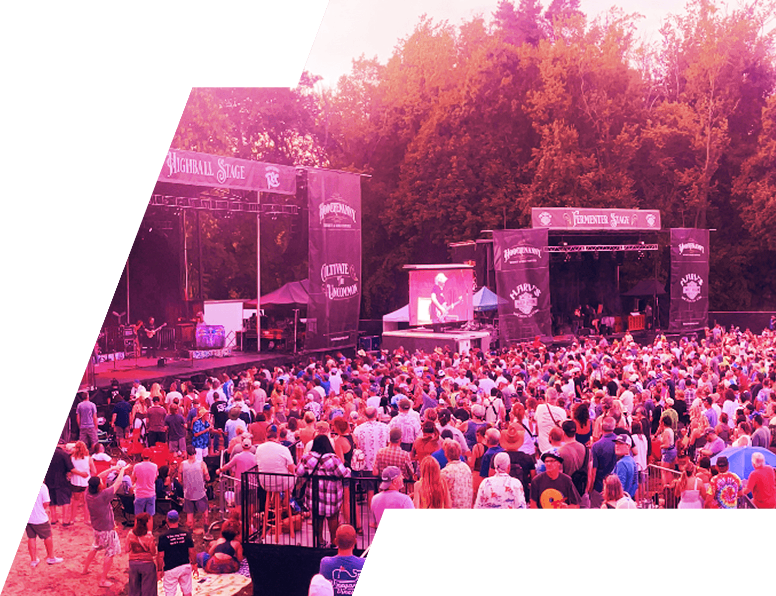 Festival strategy consultants reviewing growth roadmap materials — Growth & Development engagement reference